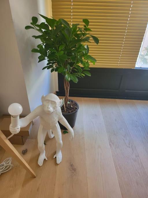 Appartement Luxe "La Providence" , Plein Centre Виши Экстерьер фото